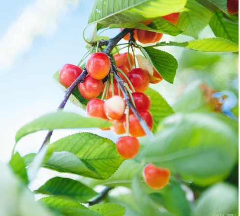 运城现代妇科医院