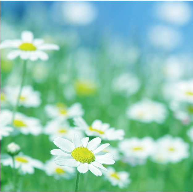 运城现代妇科医院