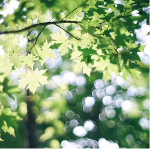 运城现代妇科医院