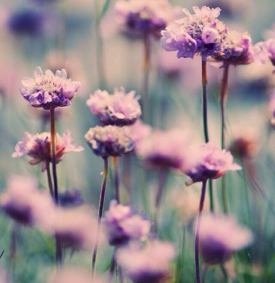 运城现代妇科医院