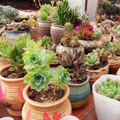 运城现代妇科医院