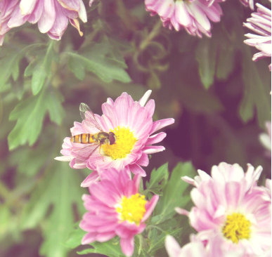 运城现代妇科医院