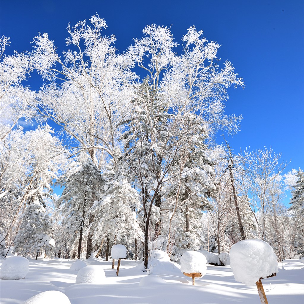 运城治疗内分泌失调