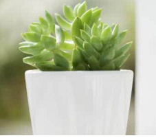 运城外阴瘙痒是什么原因怎么治疗？